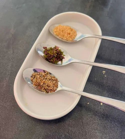 Cuillères de condiments et d'algues pour un atelier nutrition