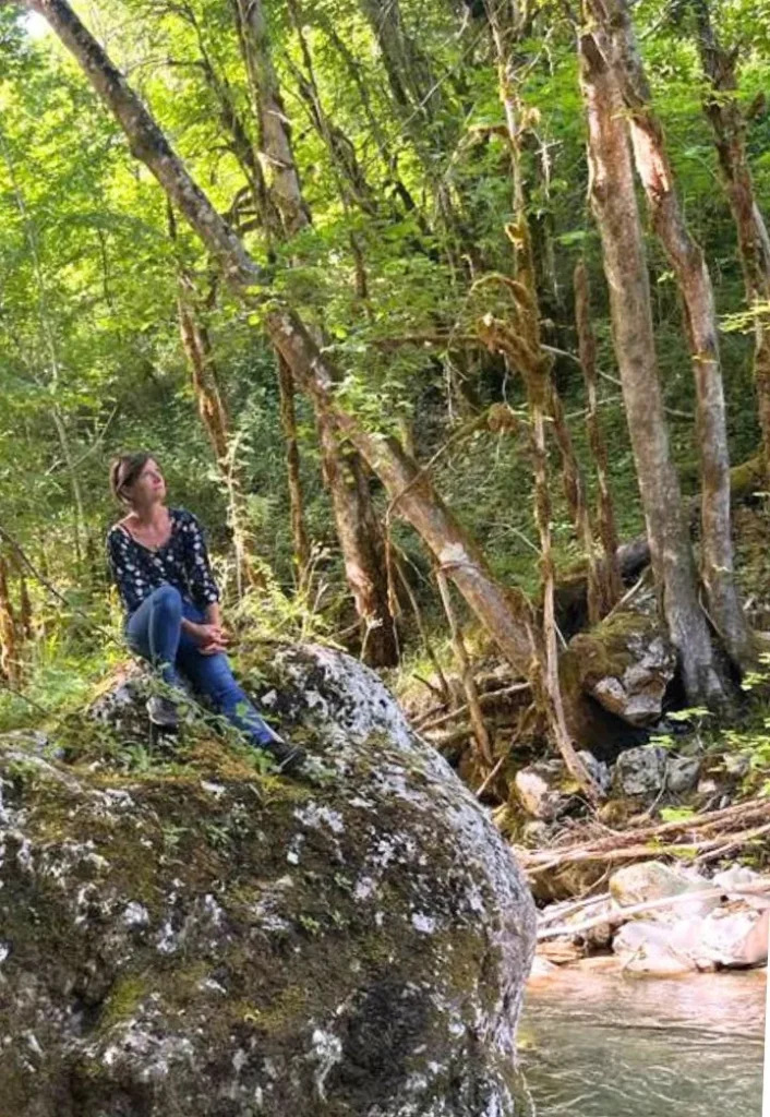 Sous-bois lumineux en forêt