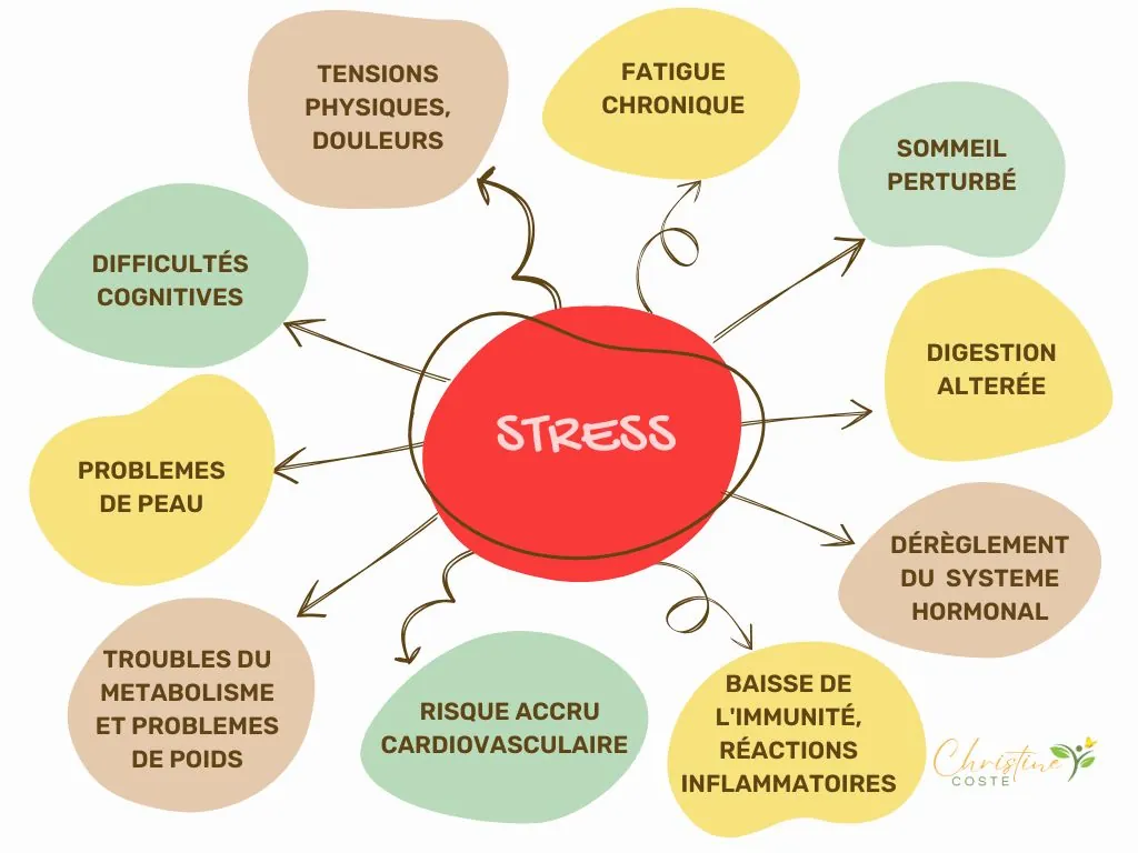 Comment stopper le stress et limiter son impact