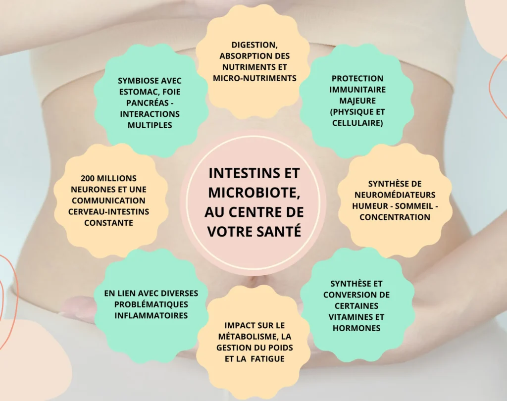 christine coste naturopathe - intestins et microbiote