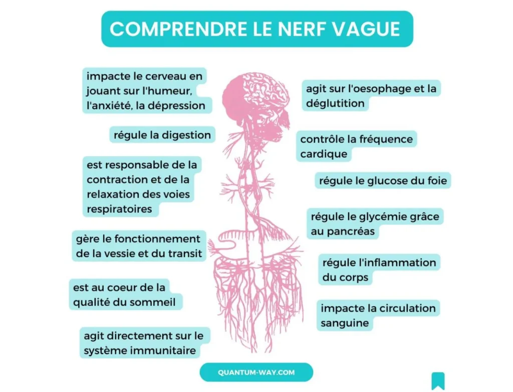 Comment stopper le stress et limiter son impact