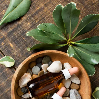 Plantes et huiles essentielles dans un bol en bois