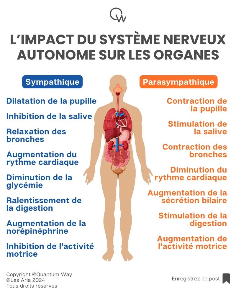 Comment stopper le stress et limiter son impact